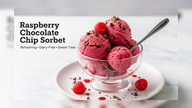 Raspberry Chocolate Chip Sorbet | Fresh, Vegan & Dairy-Free
