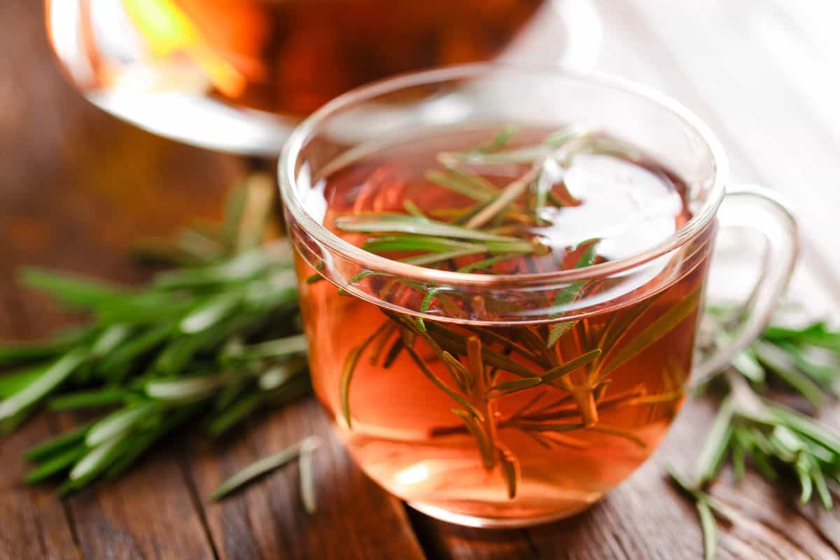 Homemade Rosemary Tea